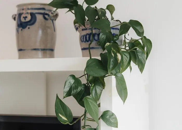 Stilvoll Und Ruhig Apartament Füssen