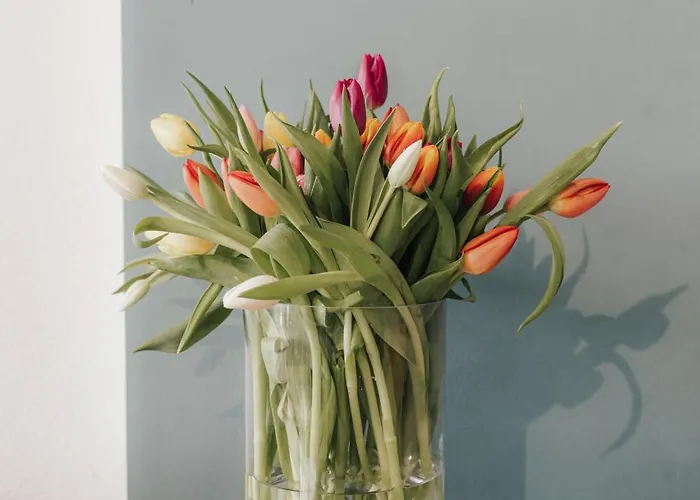 Stilvoll Und Ruhig Apartament